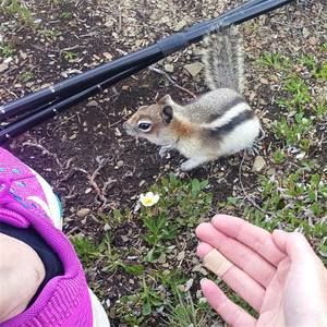 Meet your Posher, Jr.